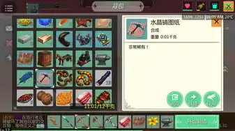 创造与魔法新融合宠物拳皇在哪里使用技能，创造与魔法新融合宠物拳皇，揭秘神秘技能释放地点与实战攻略