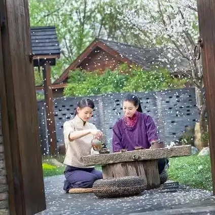 梦幻西游手游桃树种子有什么用，梦幻西游手游桃树种子，解锁副本新境界，助力玩家再创辉煌