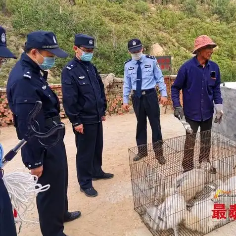 创造与魔法灵狐资质，灵狐奇缘，创造与魔法世界中的极品资质之谜